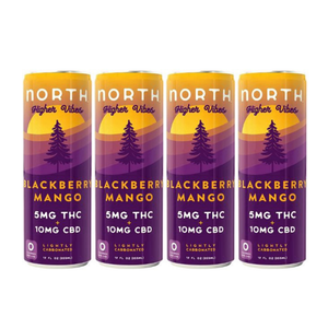North Blackberry Mango THC 5mg 12oz Can